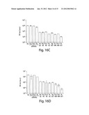 RNA SEQUENCE-SPECIFIC MEDIATORS OF RNA INTERFERENCE diagram and image