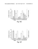 RNA SEQUENCE-SPECIFIC MEDIATORS OF RNA INTERFERENCE diagram and image