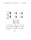 MICRORNA BIOMARKER IN CANCER diagram and image