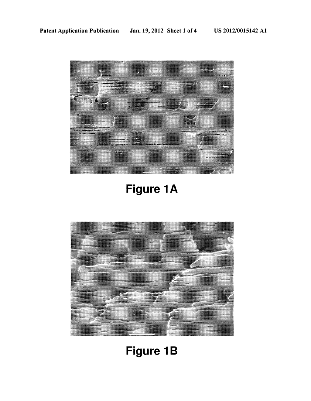 BIODEGRADABLE BLENDS AND FILMS HAVING NANO-STRUCTURAL FEATURES - diagram, schematic, and image 02