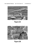 BIODEGRADABLE BLENDS AND FILMS HAVING NANO-STRUCTURAL FEATURES diagram and image