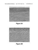 BIODEGRADABLE BLENDS AND FILMS HAVING NANO-STRUCTURAL FEATURES diagram and image