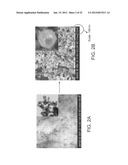METHODS FOR THE FABRICATION OF NANOSTRUCTURES diagram and image