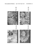 METHODS FOR THE FABRICATION OF NANOSTRUCTURES diagram and image