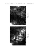 METHODS FOR THE FABRICATION OF NANOSTRUCTURES diagram and image