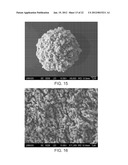 METHODS FOR THE FABRICATION OF NANOSTRUCTURES diagram and image