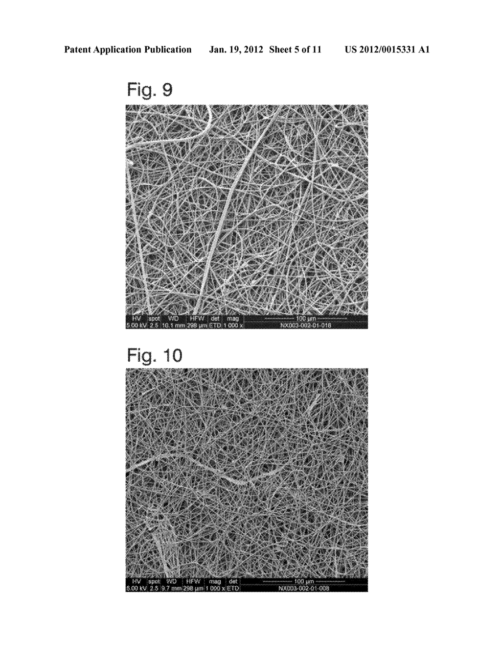 SCAFFOLD - diagram, schematic, and image 06