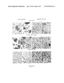 METHODS FOR INCREASING ISOLATION YIELDS OF CELLULAR PRODUCTS diagram and image