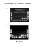 Methods for Assaying Cellular Binding Interactions diagram and image