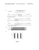 miRNA Target Prediction diagram and image