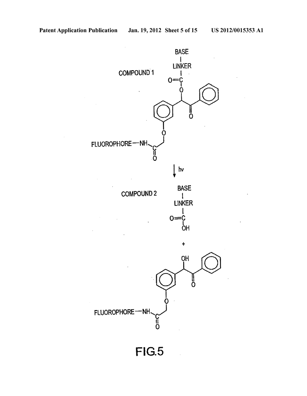 METHOD OF DETERMINING THE NUCLEOTIDE SEQUENCE OF OLIGONUCLEOTIDES AND DNA     MOLECULES - diagram, schematic, and image 06