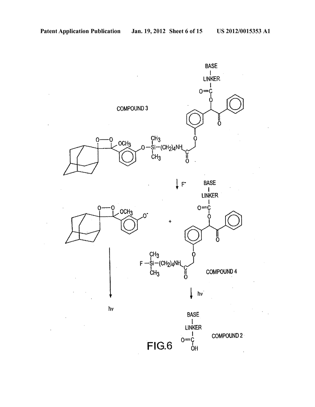 METHOD OF DETERMINING THE NUCLEOTIDE SEQUENCE OF OLIGONUCLEOTIDES AND DNA     MOLECULES - diagram, schematic, and image 07