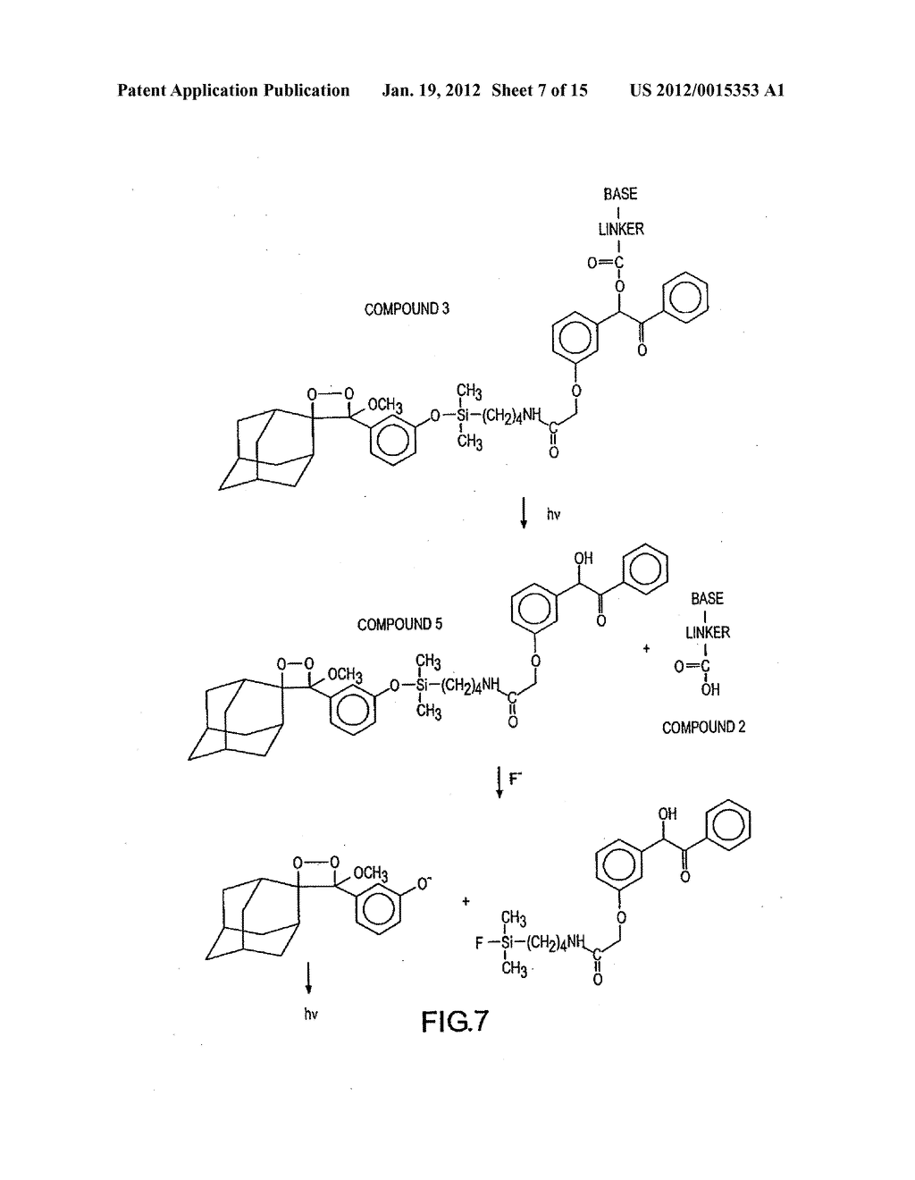 METHOD OF DETERMINING THE NUCLEOTIDE SEQUENCE OF OLIGONUCLEOTIDES AND DNA     MOLECULES - diagram, schematic, and image 08