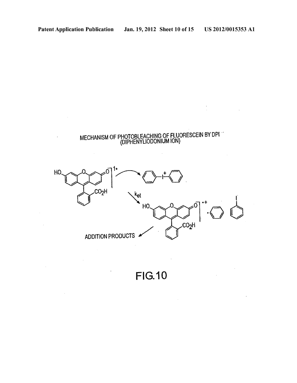 METHOD OF DETERMINING THE NUCLEOTIDE SEQUENCE OF OLIGONUCLEOTIDES AND DNA     MOLECULES - diagram, schematic, and image 11