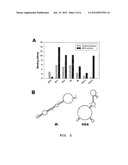 NUCLEIC ACID APTAMER BINDER SPECIFICALLY TO BISPHENOL A diagram and image