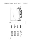 NUCLEIC ACID APTAMER BINDER SPECIFICALLY TO BISPHENOL A diagram and image