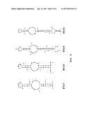 NUCLEIC ACID APTAMER BINDER SPECIFICALLY TO BISPHENOL A diagram and image