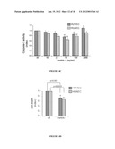 METHOD FOR THE SELECTION OF ENDOTHELIAL CELLS DEATH INDUCERS VIA NETRIN-1     AND ITS APPLICATIONS diagram and image