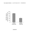 METHOD FOR THE SELECTION OF ENDOTHELIAL CELLS DEATH INDUCERS VIA NETRIN-1     AND ITS APPLICATIONS diagram and image