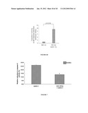 METHOD FOR THE SELECTION OF ENDOTHELIAL CELLS DEATH INDUCERS VIA NETRIN-1     AND ITS APPLICATIONS diagram and image