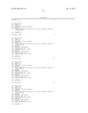 Methods for Multiplexing Recombinase Polymerase Amplification diagram and image