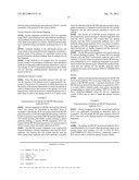 MCM6 AND MCM7 MONOCLONAL ANTIBODIES AND METHODS FOR THEIR USE IN THE     DETECTION OF CERVICAL DISEASE diagram and image