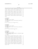 MCM6 AND MCM7 MONOCLONAL ANTIBODIES AND METHODS FOR THEIR USE IN THE     DETECTION OF CERVICAL DISEASE diagram and image