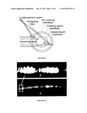 Free Solution Measurement Of Molecular Interactions By Backscattering     Interferometry diagram and image