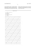 NOVEL DIAGNOSTIC MARKER FOR TYPE 1 DIABETES MELLITUS diagram and image