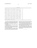 NOVEL DIAGNOSTIC MARKER FOR TYPE 1 DIABETES MELLITUS diagram and image