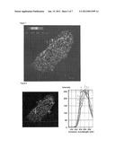 FLUORESCENT SOLVATOCHROMIC PIGMENT diagram and image