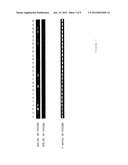 HCL-K1 Polypeptide Which Offers Collectin Activity diagram and image