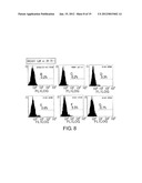 Method of Proliferating Plasma Cells diagram and image