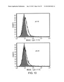 Method of Proliferating Plasma Cells diagram and image