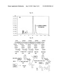 GENE CLUSTER FOR THURINGIENSIN SYNTHESIS diagram and image