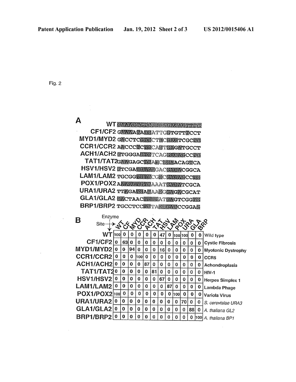 RATIONALLY-DESIGNED MEGANUCLEASES WITH ALTERED SEQUENCE SPECIFICITY AND     DNA-BINDING AFFINITY - diagram, schematic, and image 03