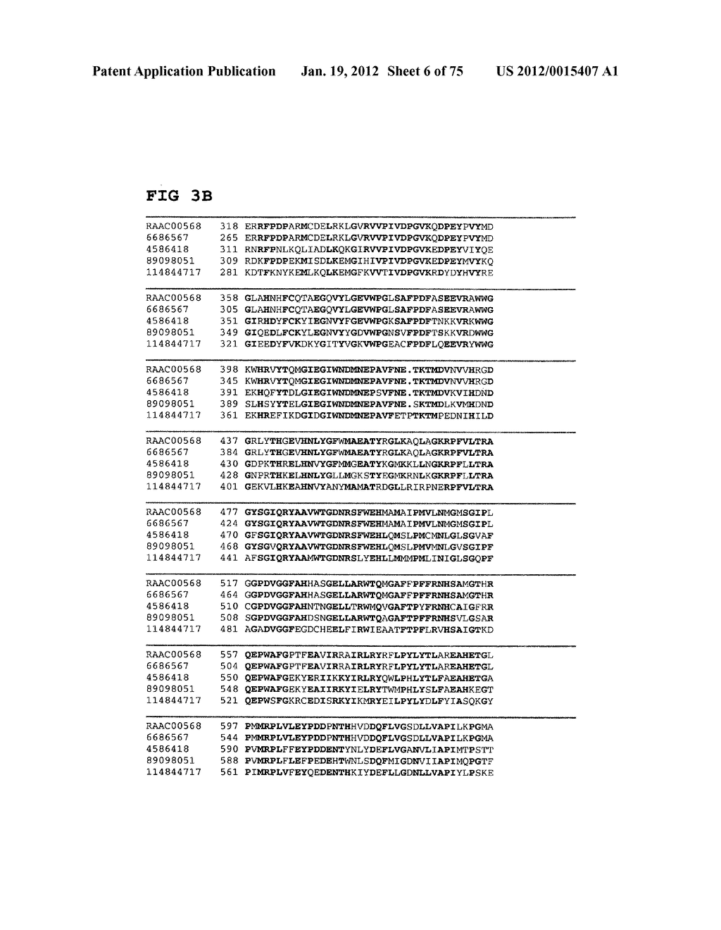 Thermophilic and thermoacidophilic biopolymer-degrading genes and enzymes     from alicyclobacillus acidocaldarius and related organisms, methods - diagram, schematic, and image 07