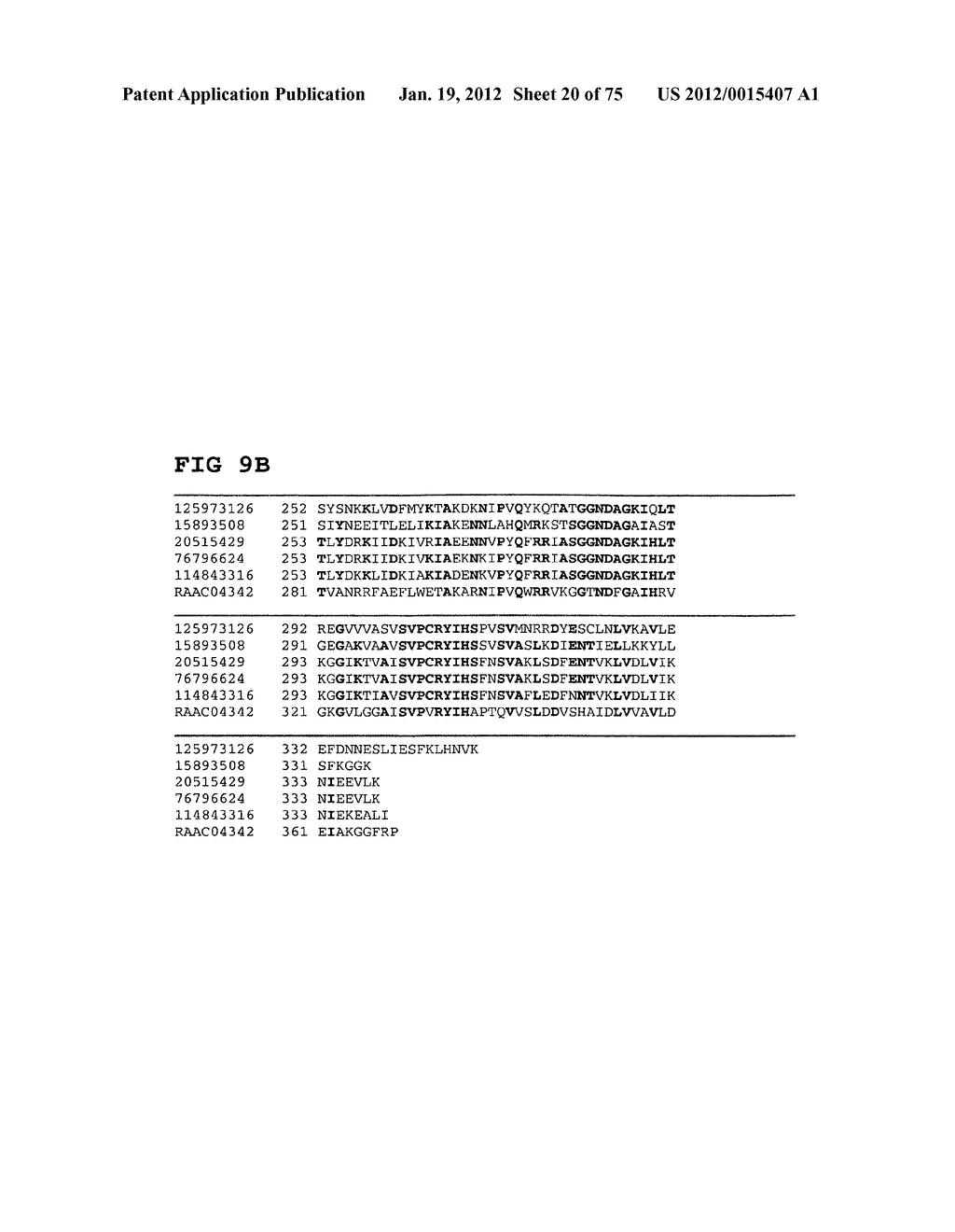 Thermophilic and thermoacidophilic biopolymer-degrading genes and enzymes     from alicyclobacillus acidocaldarius and related organisms, methods - diagram, schematic, and image 21