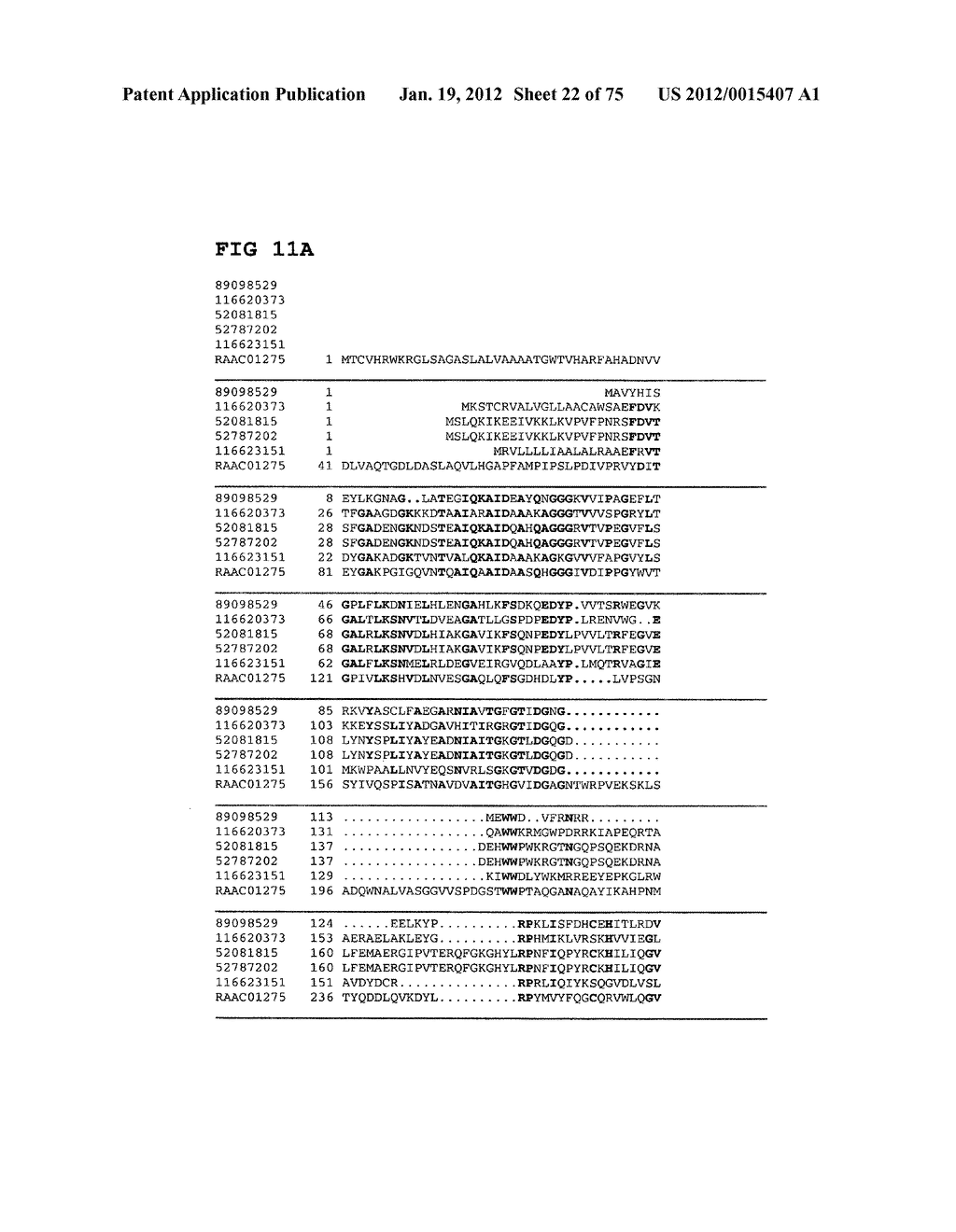 Thermophilic and thermoacidophilic biopolymer-degrading genes and enzymes     from alicyclobacillus acidocaldarius and related organisms, methods - diagram, schematic, and image 23