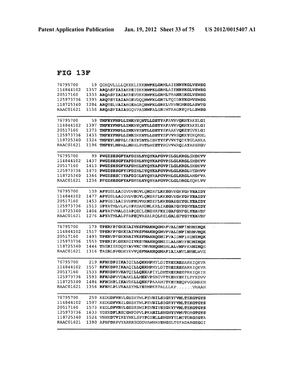 Thermophilic and thermoacidophilic biopolymer-degrading genes and enzymes     from alicyclobacillus acidocaldarius and related organisms, methods - diagram, schematic, and image 34