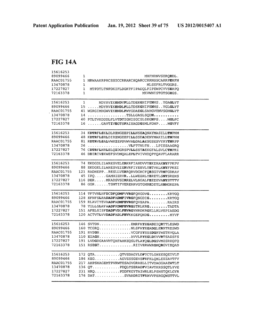 Thermophilic and thermoacidophilic biopolymer-degrading genes and enzymes     from alicyclobacillus acidocaldarius and related organisms, methods - diagram, schematic, and image 40