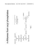 ETHANOL PRODUCTION IN MICROORGANISMS diagram and image