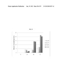 ETHANOL PRODUCTION IN MICROORGANISMS diagram and image