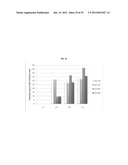 ETHANOL PRODUCTION IN MICROORGANISMS diagram and image