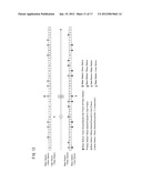 RELAY COLLABORATIVE COMMUNICATION SYSTEM AND COMMUNICATION METHOD diagram and image