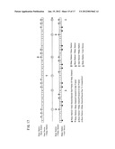 RELAY COLLABORATIVE COMMUNICATION SYSTEM AND COMMUNICATION METHOD diagram and image