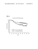 METHOD FOR THERAPY PREDICTION IN TUMORS HAVING IRREGULARITIES IN THE     EXPRESSION OF AT LEAST ONE VEGF LIGAND AND/OR AT LEAST ONE ERBB-RECEPTOR diagram and image