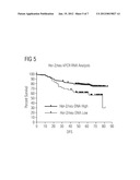 METHOD FOR THERAPY PREDICTION IN TUMORS HAVING IRREGULARITIES IN THE     EXPRESSION OF AT LEAST ONE VEGF LIGAND AND/OR AT LEAST ONE ERBB-RECEPTOR diagram and image