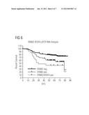 METHOD FOR THERAPY PREDICTION IN TUMORS HAVING IRREGULARITIES IN THE     EXPRESSION OF AT LEAST ONE VEGF LIGAND AND/OR AT LEAST ONE ERBB-RECEPTOR diagram and image