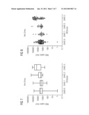 METHOD FOR THERAPY PREDICTION IN TUMORS HAVING IRREGULARITIES IN THE     EXPRESSION OF AT LEAST ONE VEGF LIGAND AND/OR AT LEAST ONE ERBB-RECEPTOR diagram and image